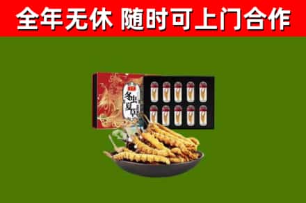 岢岚回收冬虫夏草价格