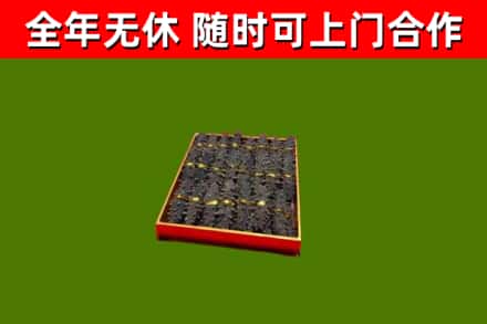 岢岚回收海参